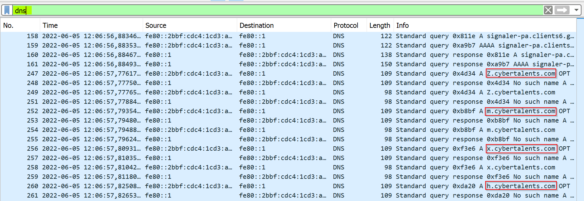 DNS Filter